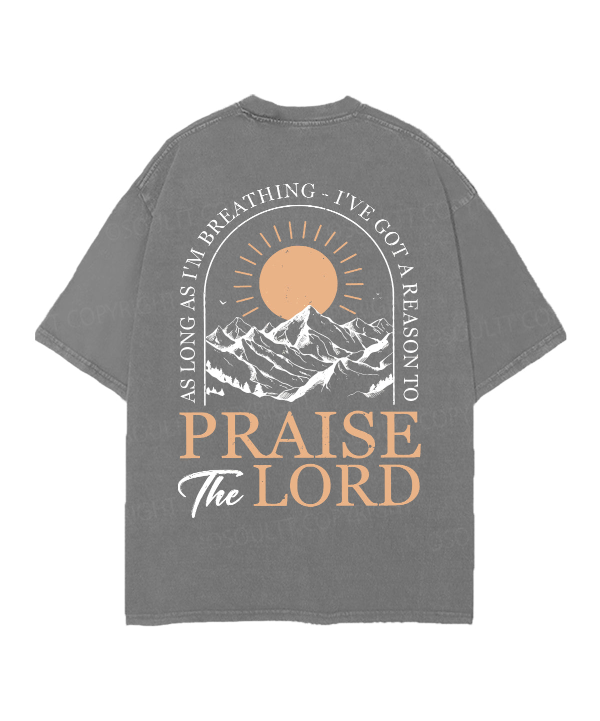 Praise The Lord Double Sided Unisex Christian Washed T-Shirt & Shorts