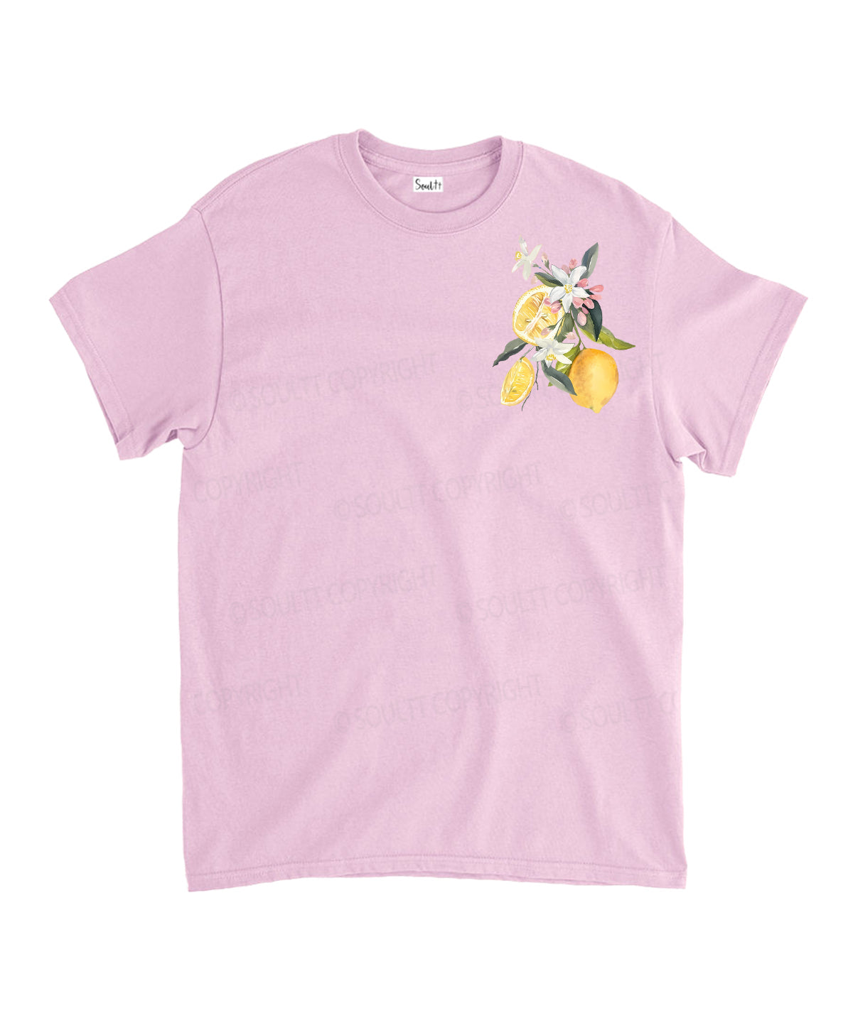 Fruit Of The Spirit Double Sided Unisex Cotton Christian T-Shirt