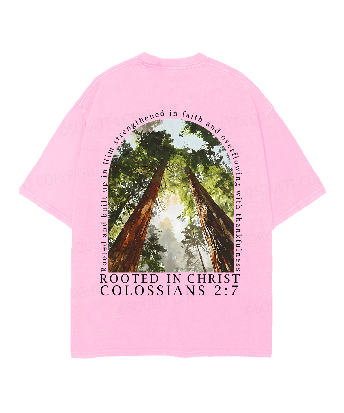 Rooted In Christ Double Sided Unisex Christian Washed T-Shirt & Shorts