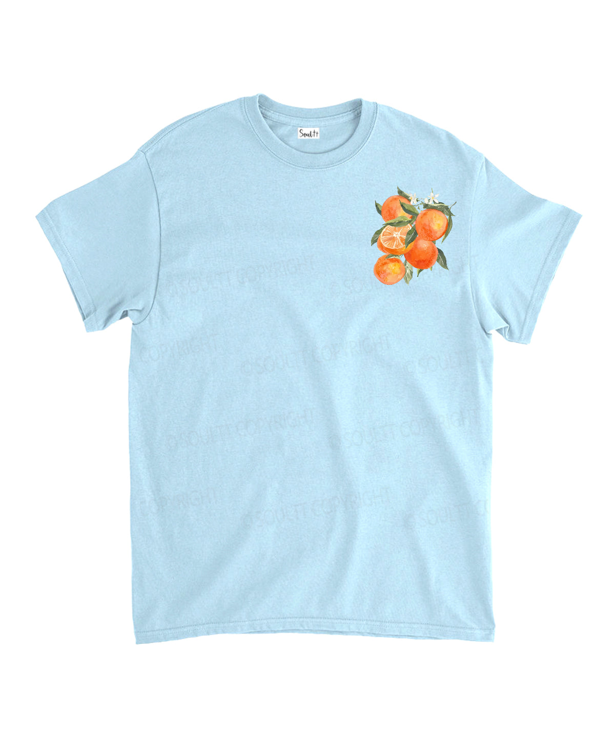 Fruit Of The Spirit Double Sided Unisex Cotton Christian T-Shirt