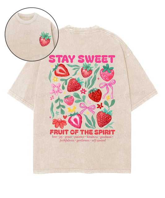 Fruit Of The Spirit Double Sided Unisex Washed Christian T-shirt