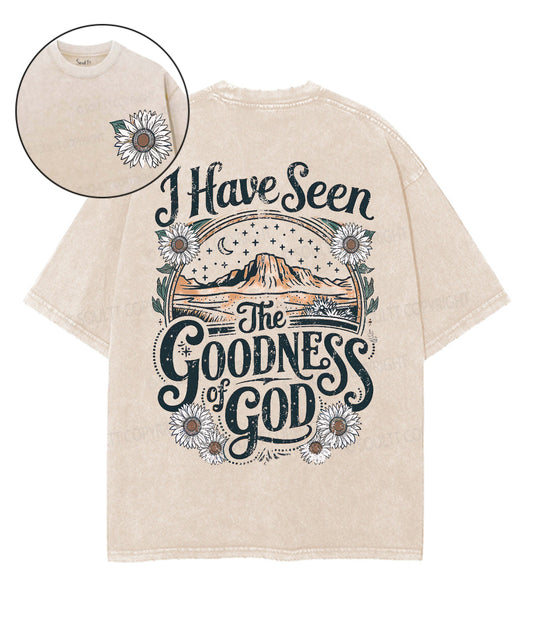 I Have Seen The Goodness Of God Double Sided Unisex Washed Christian T-shirt