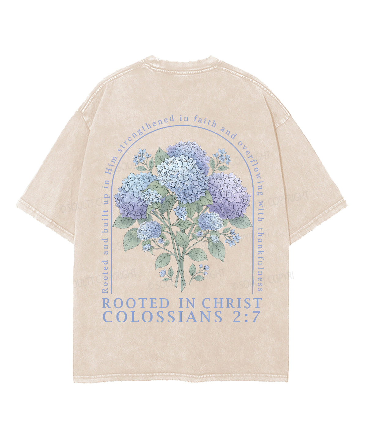 Rooted In Christ Double Sided Unisex Washed Christian T-shirt