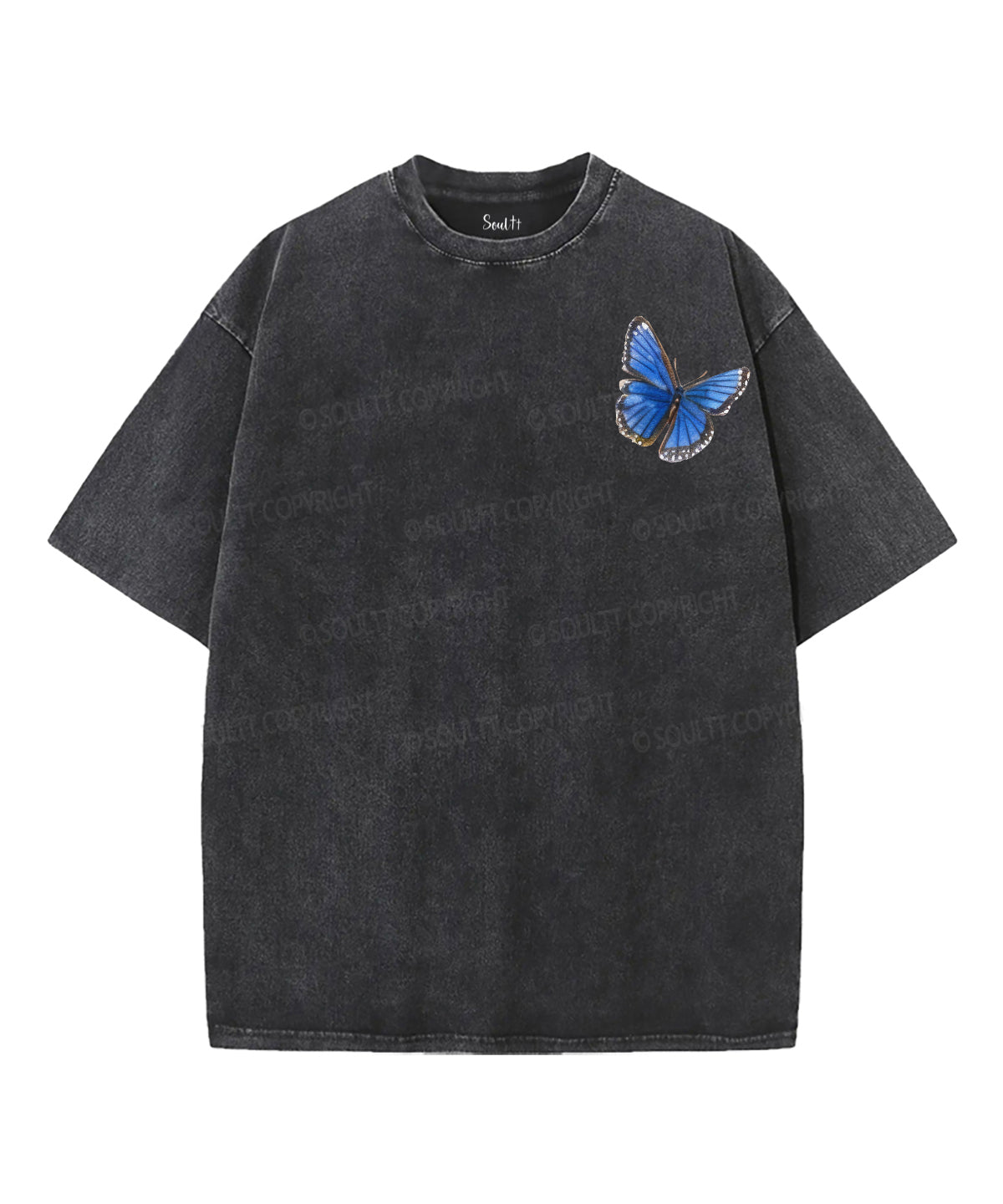 Christ Has Set Us Free Double Sided Unisex Washed Christian T-shirt