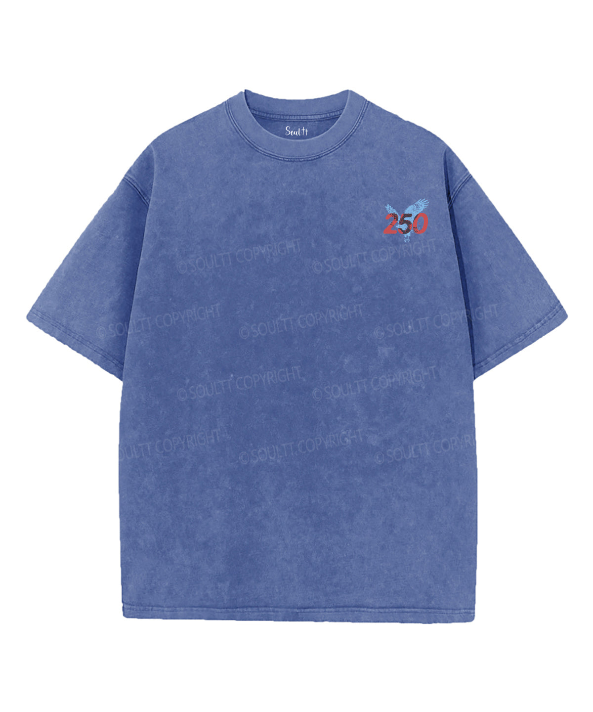 250 Years America Anniversary Double Sided Unisex Washed Christian T-shirt