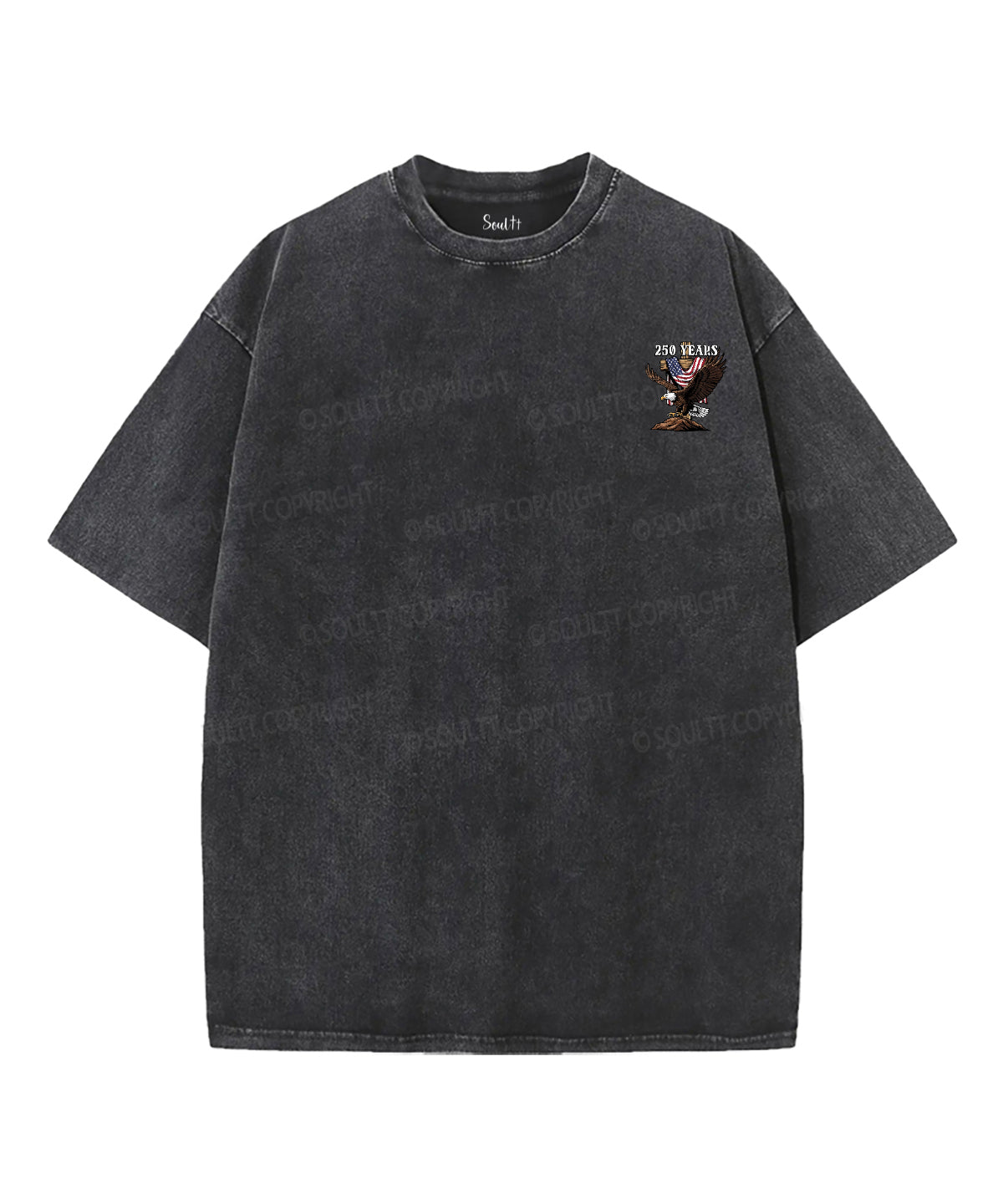 250 Years America Anniversary Double Sided Unisex Washed Christian T-shirt