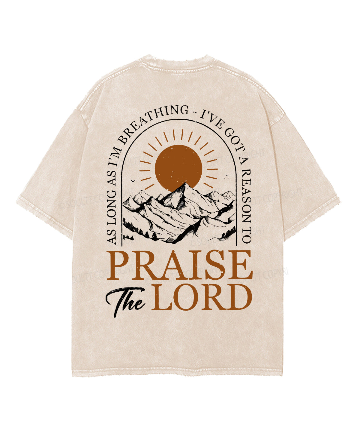 Praise The Lord Double Sided Unisex Washed Christian T-shirt