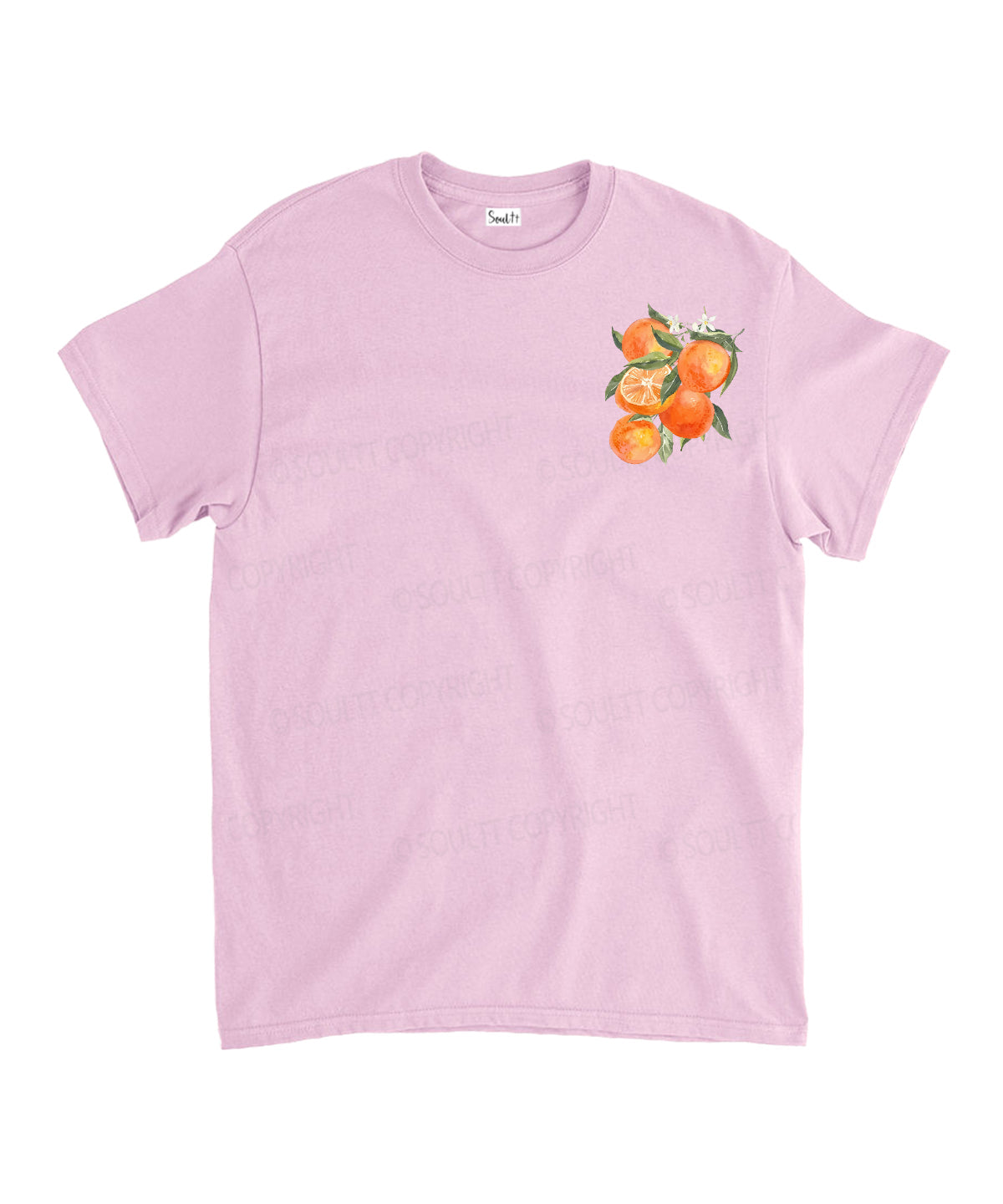 Fruit Of The Spirit Double Sided Unisex Cotton Christian T-Shirt