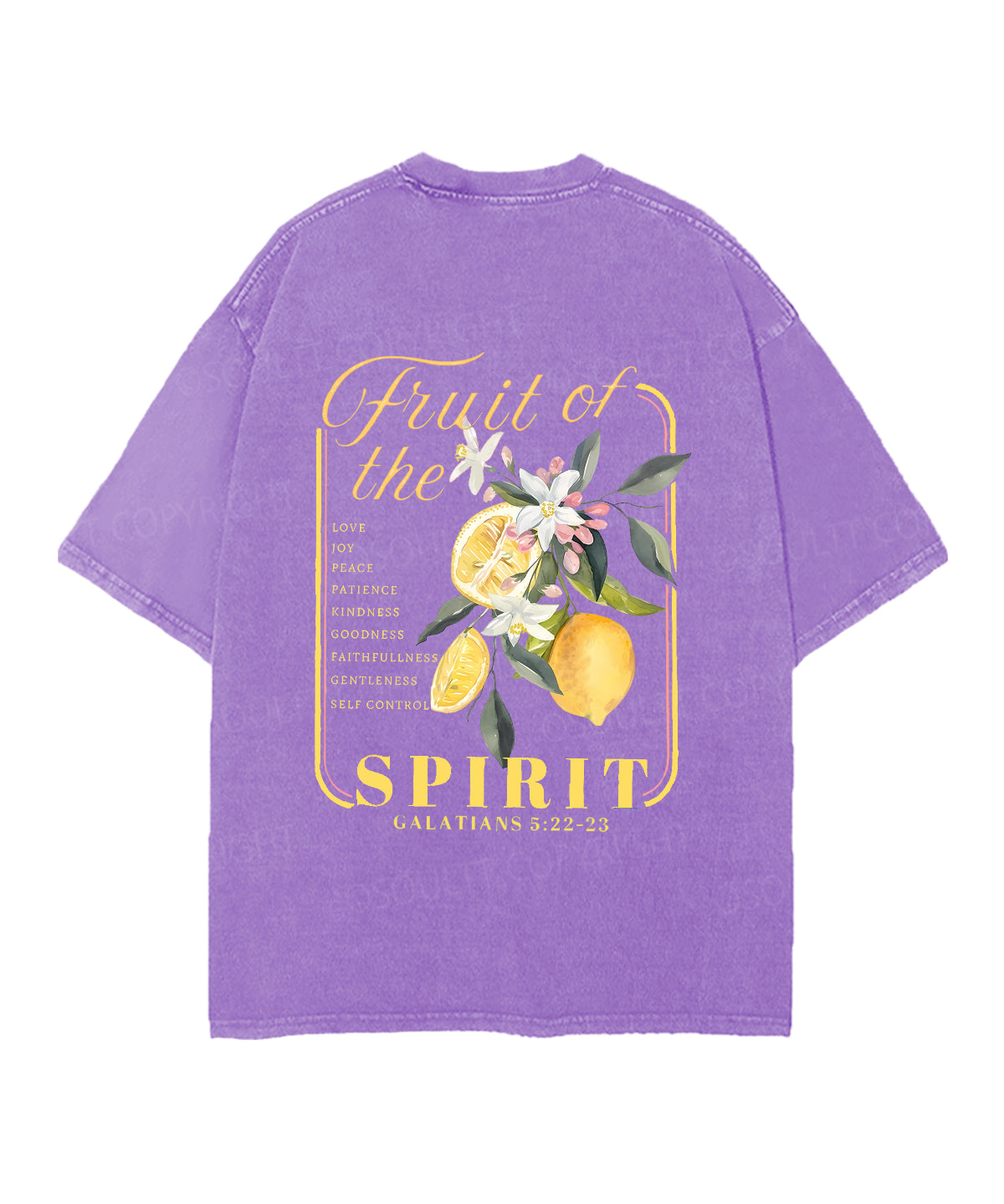 Fruit Of The Spirit Double Sided Unisex Christian Washed T-Shirt & Shorts
