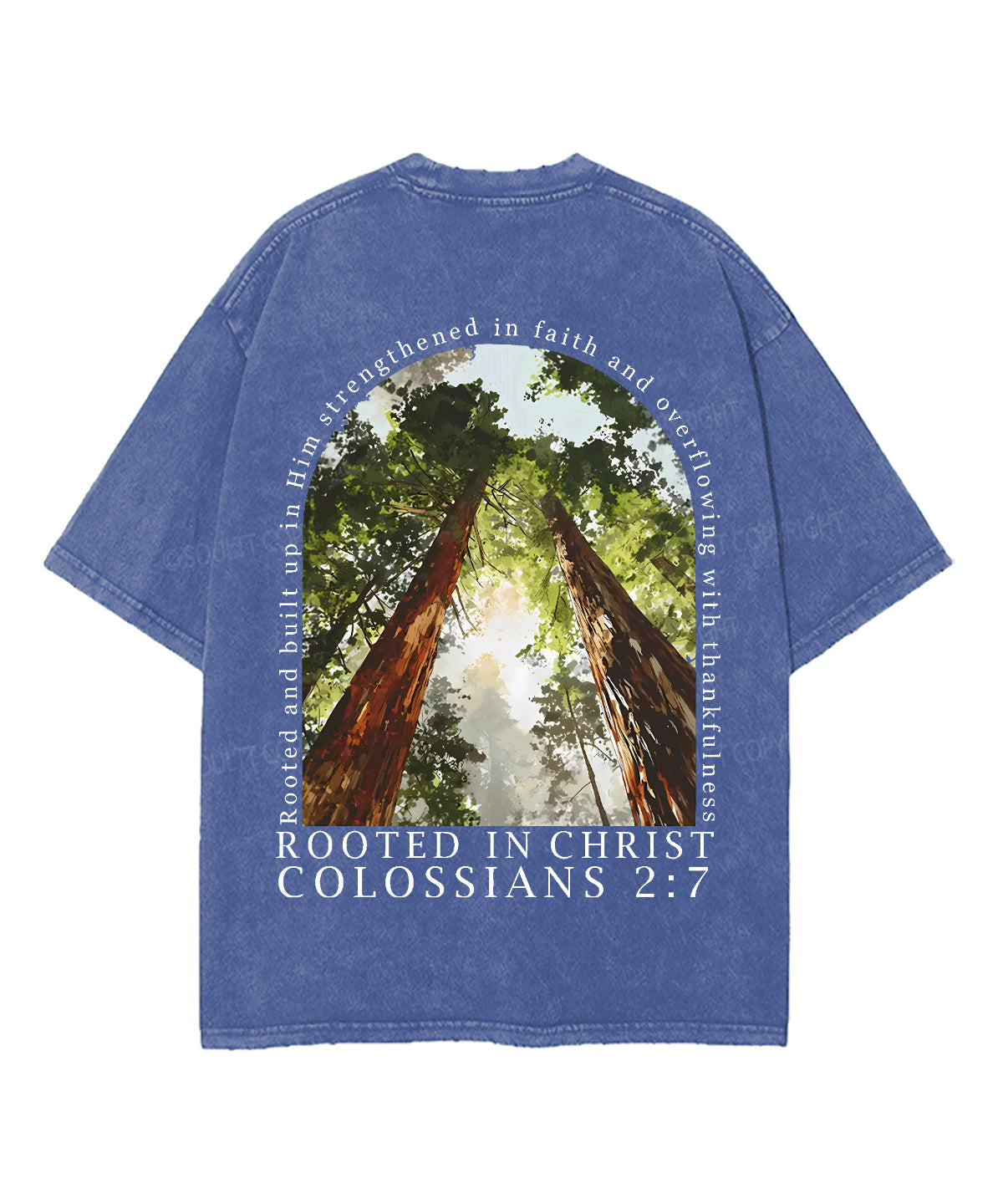 Rooted In Christ Double Sided Unisex Washed Christian T-shirt