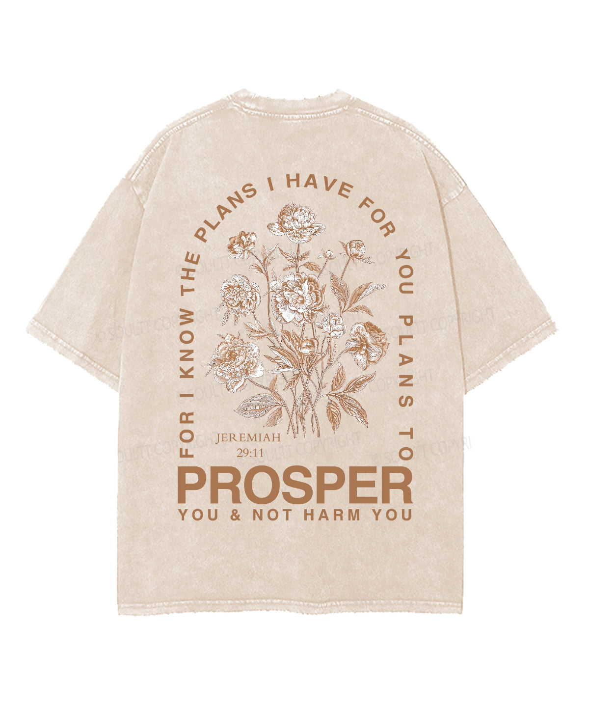 The Plans I Hane For You Double Sided Unisex Washed Christian T-shirt