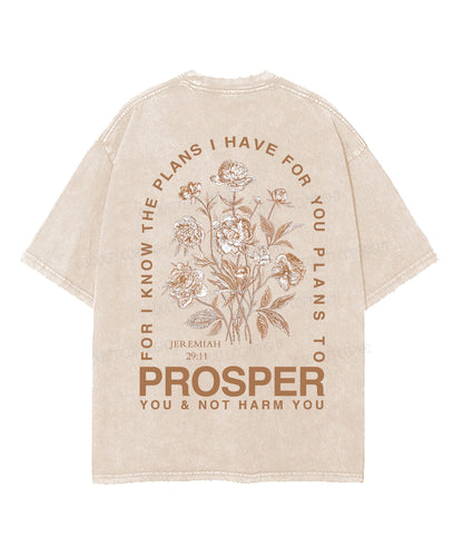 The Plans I Hane For You Double Sided Unisex Washed Christian T-shirt