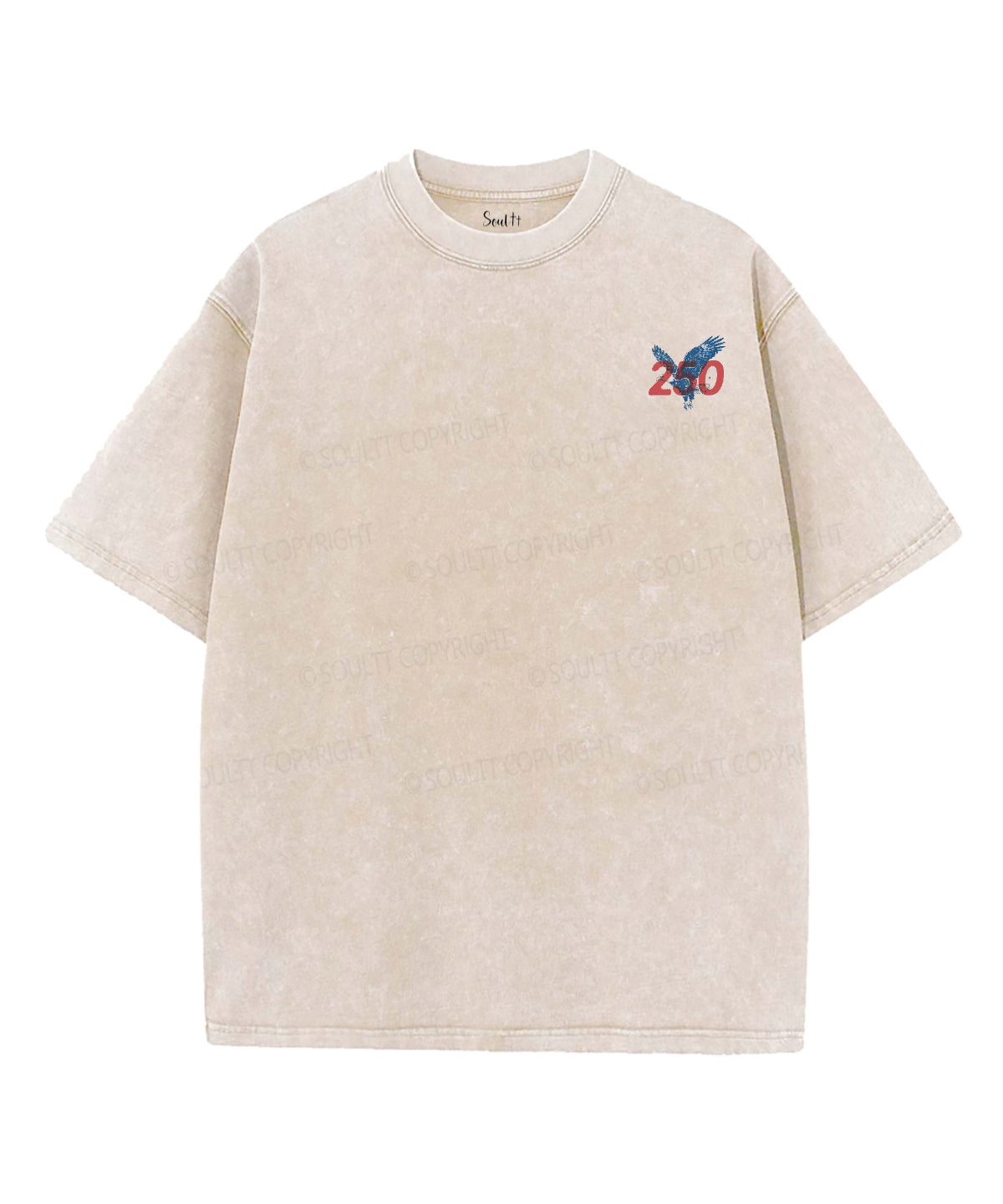 250 Years America Anniversary Double Sided Unisex Washed Christian T-shirt