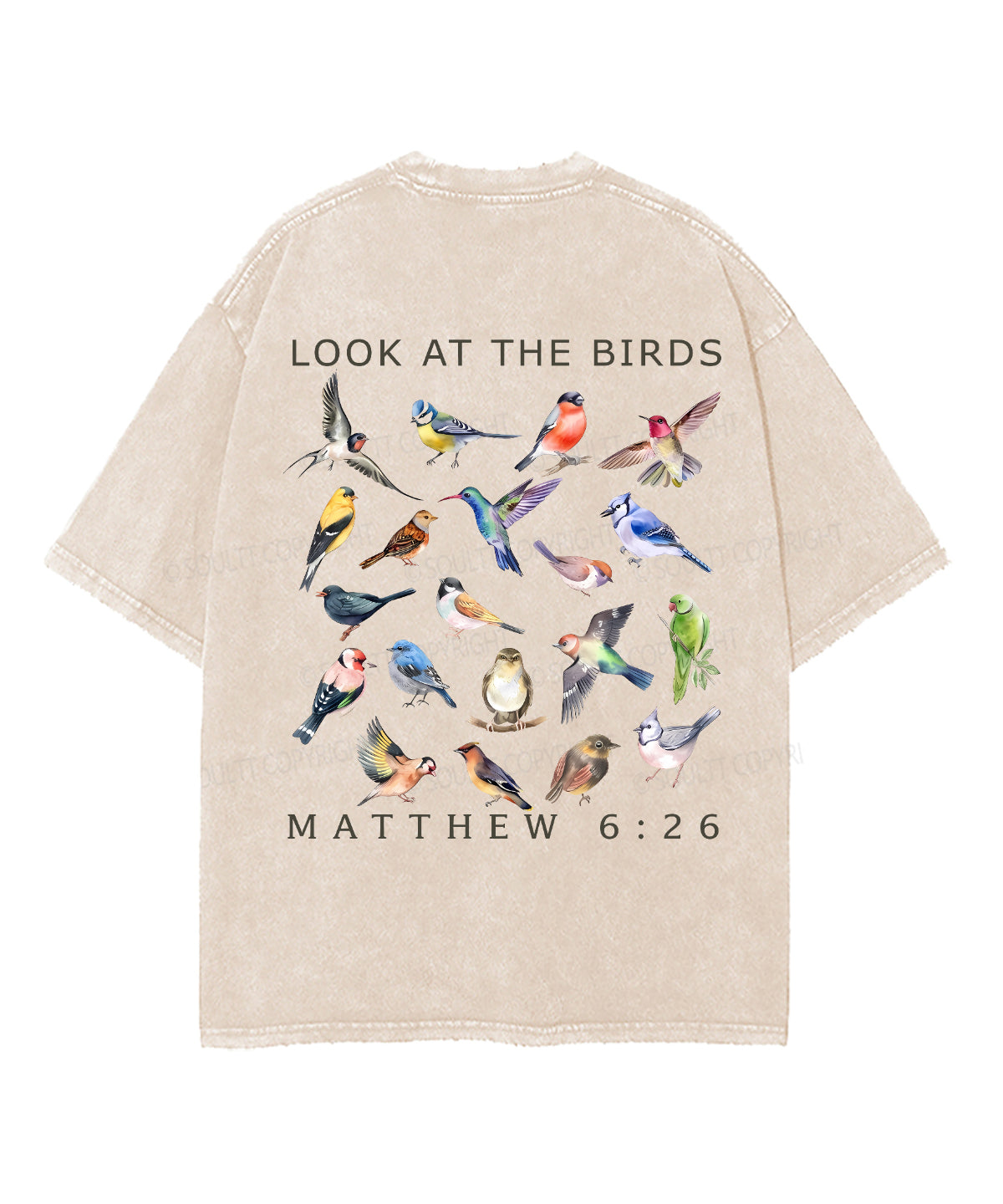 Look At The Birds Double Sided Unisex Washed Christian T-shirt