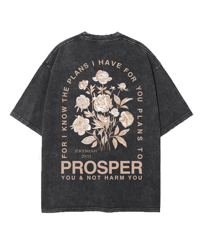 The Plans I Hane For You Double Sided Unisex Washed Christian T-shirt