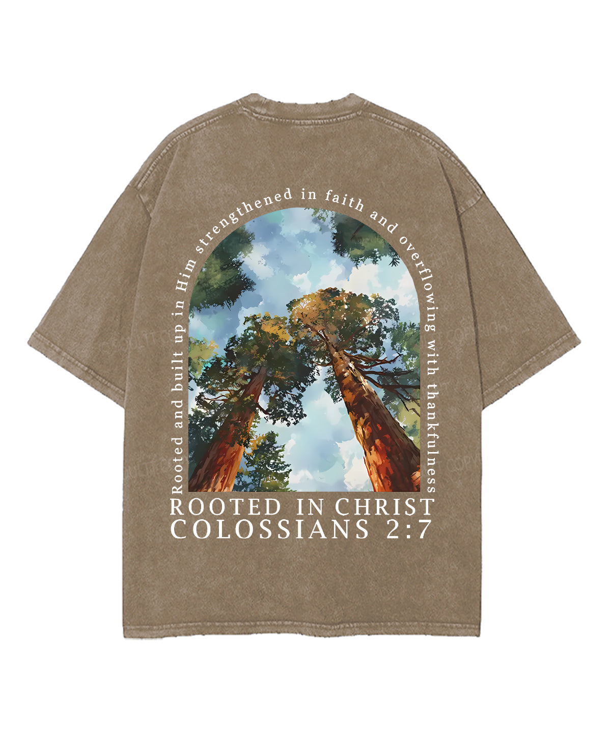 Rooted In Christ Double Sided Unisex Washed Christian T-shirt