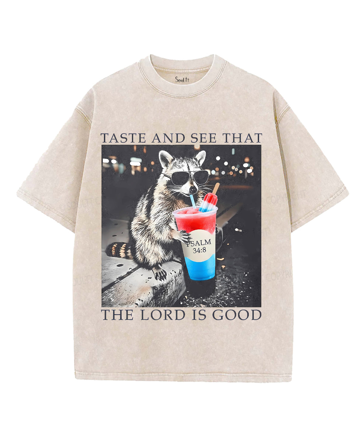 Taste And See That The Lord Is Good Unisex Washed Christian T-shirt