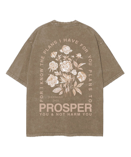 The Plans I Hane For You Double Sided Unisex Washed Christian T-shirt