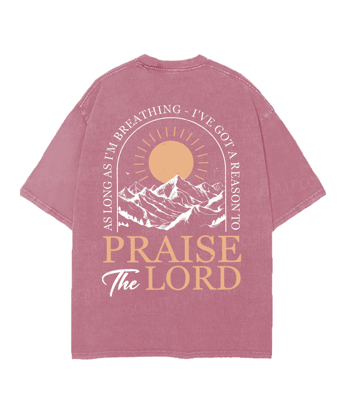 Praise The Lord Double Sided Unisex Christian Washed T-Shirt & Shorts