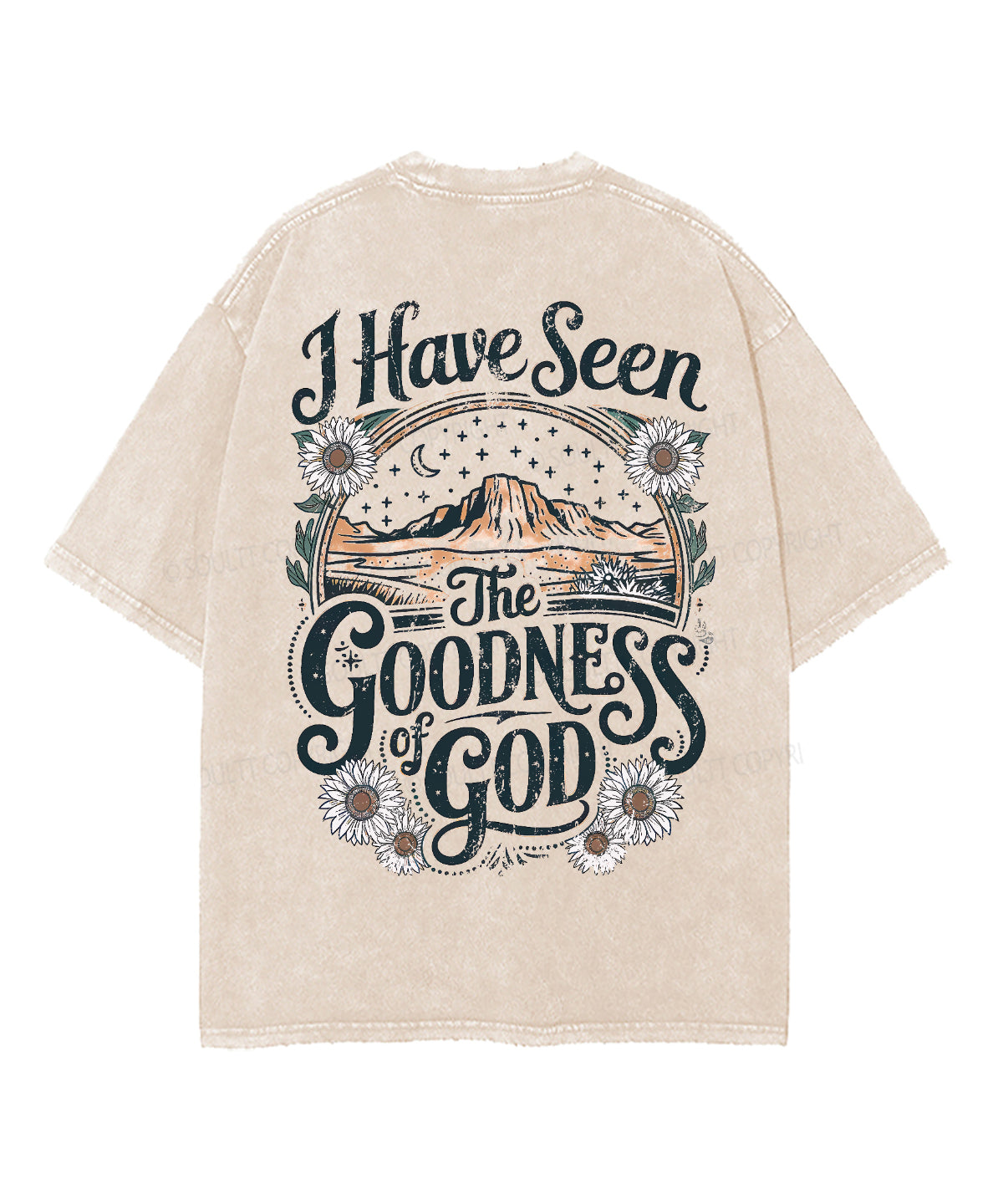 I Have Seen The Goodness Of God Double Sided Unisex Washed Christian T-shirt