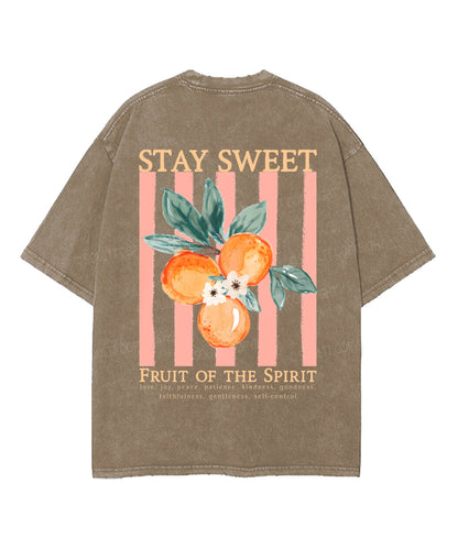 Fruit Of The Spirit Double Sided Unisex Washed Christian T-shirt