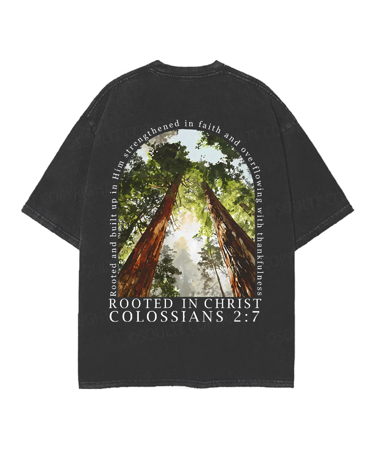 Rooted In Christ Double Sided Unisex Christian Washed T-Shirt & Shorts