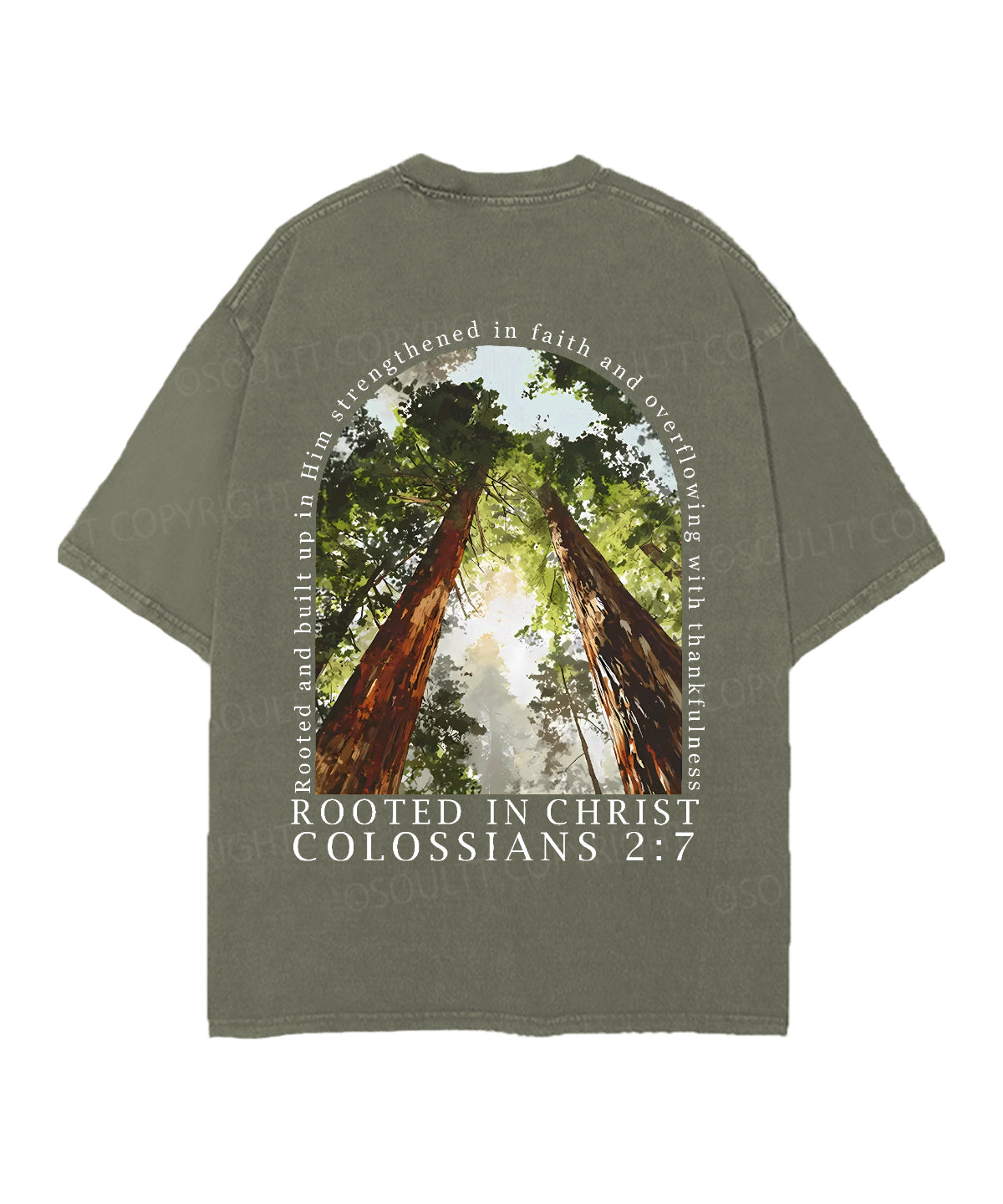 Rooted In Christ Double Sided Unisex Christian Washed T-Shirt & Shorts