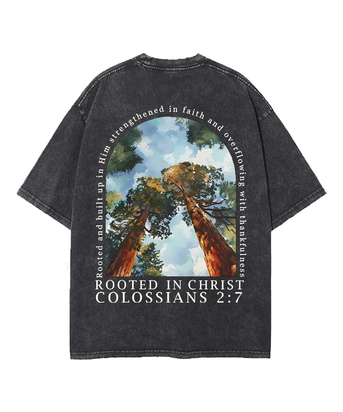 Rooted In Christ Double Sided Unisex Washed Christian T-shirt