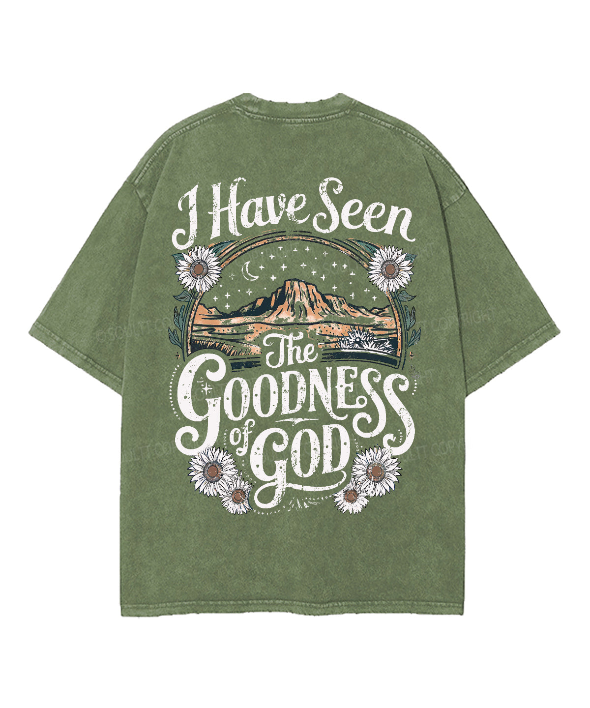 I Have Seen The Goodness Of God Double Sided Unisex Washed Christian T-shirt