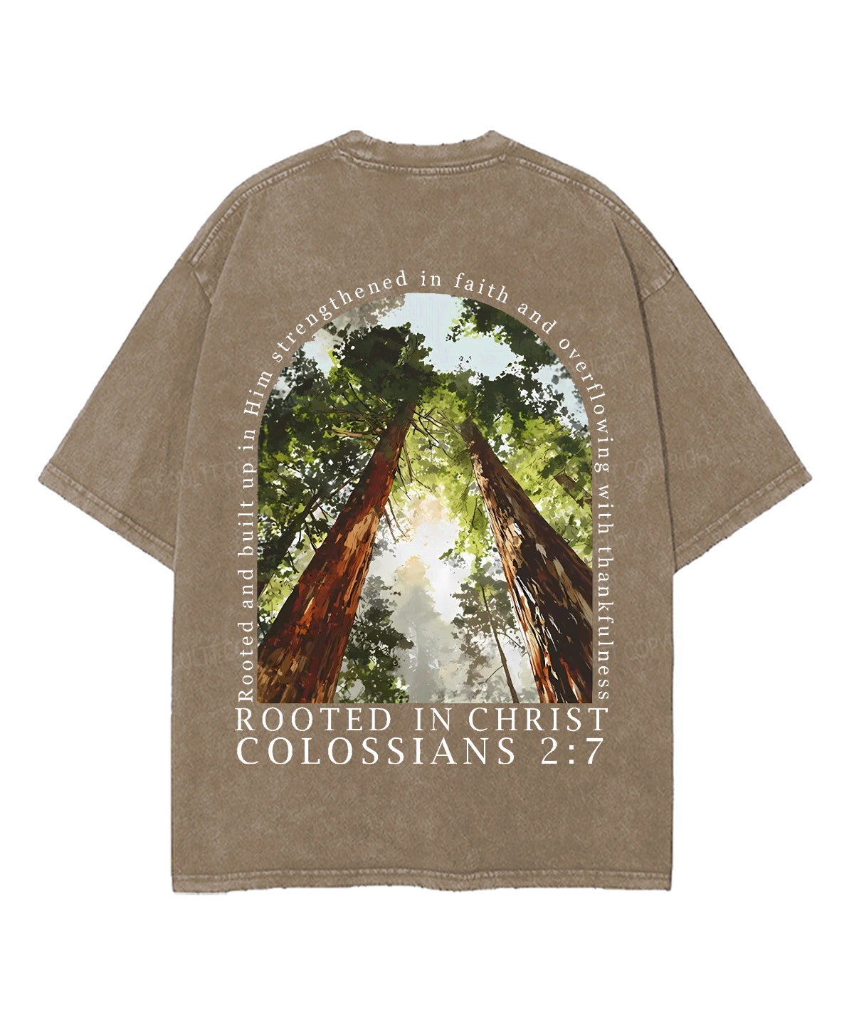 Rooted In Christ Double Sided Unisex Washed Christian T-shirt