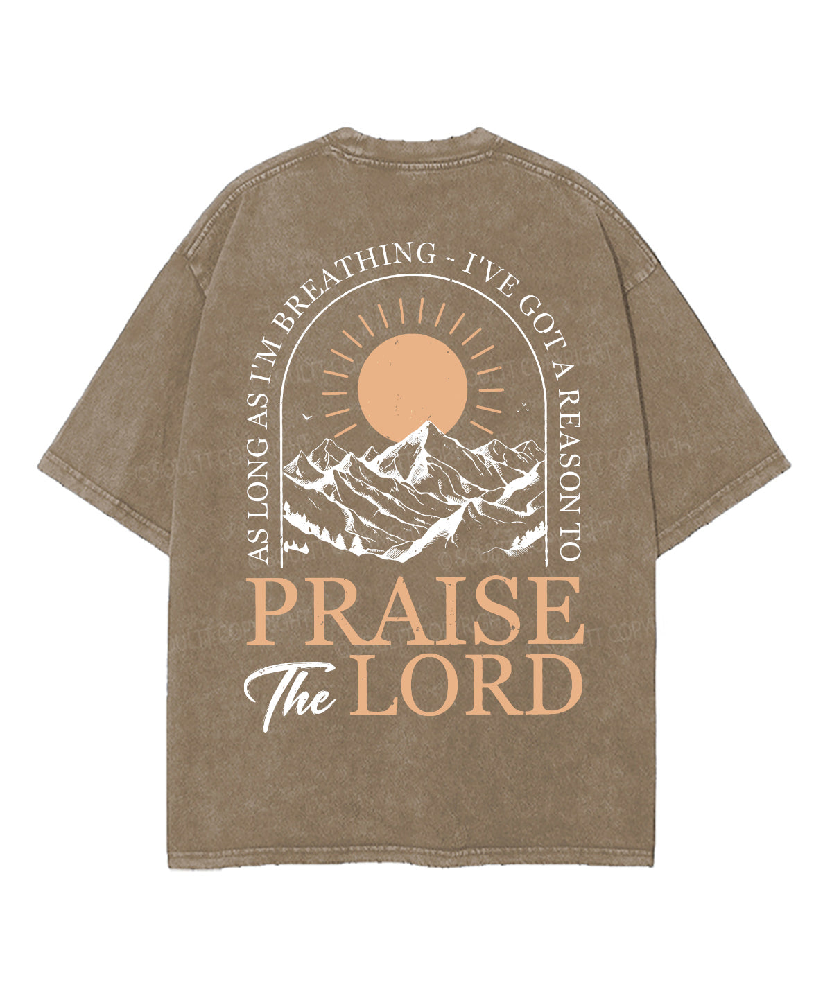 Praise The Lord Double Sided Unisex Washed Christian T-shirt