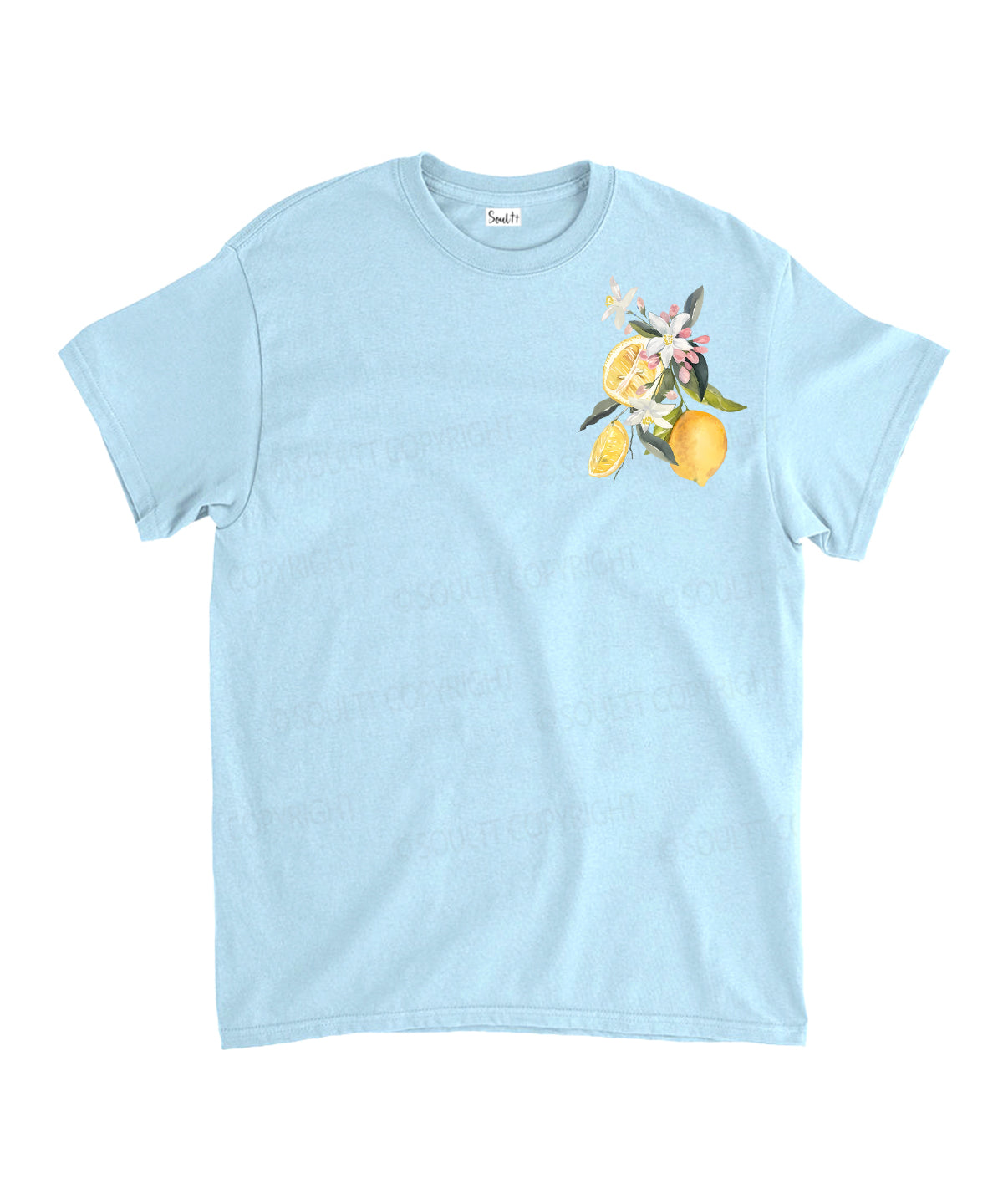 Fruit Of The Spirit Double Sided Unisex Cotton Christian T-Shirt