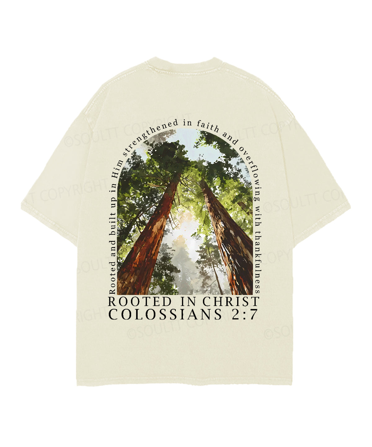 Rooted In Christ Double Sided Unisex Christian Washed T-Shirt & Shorts