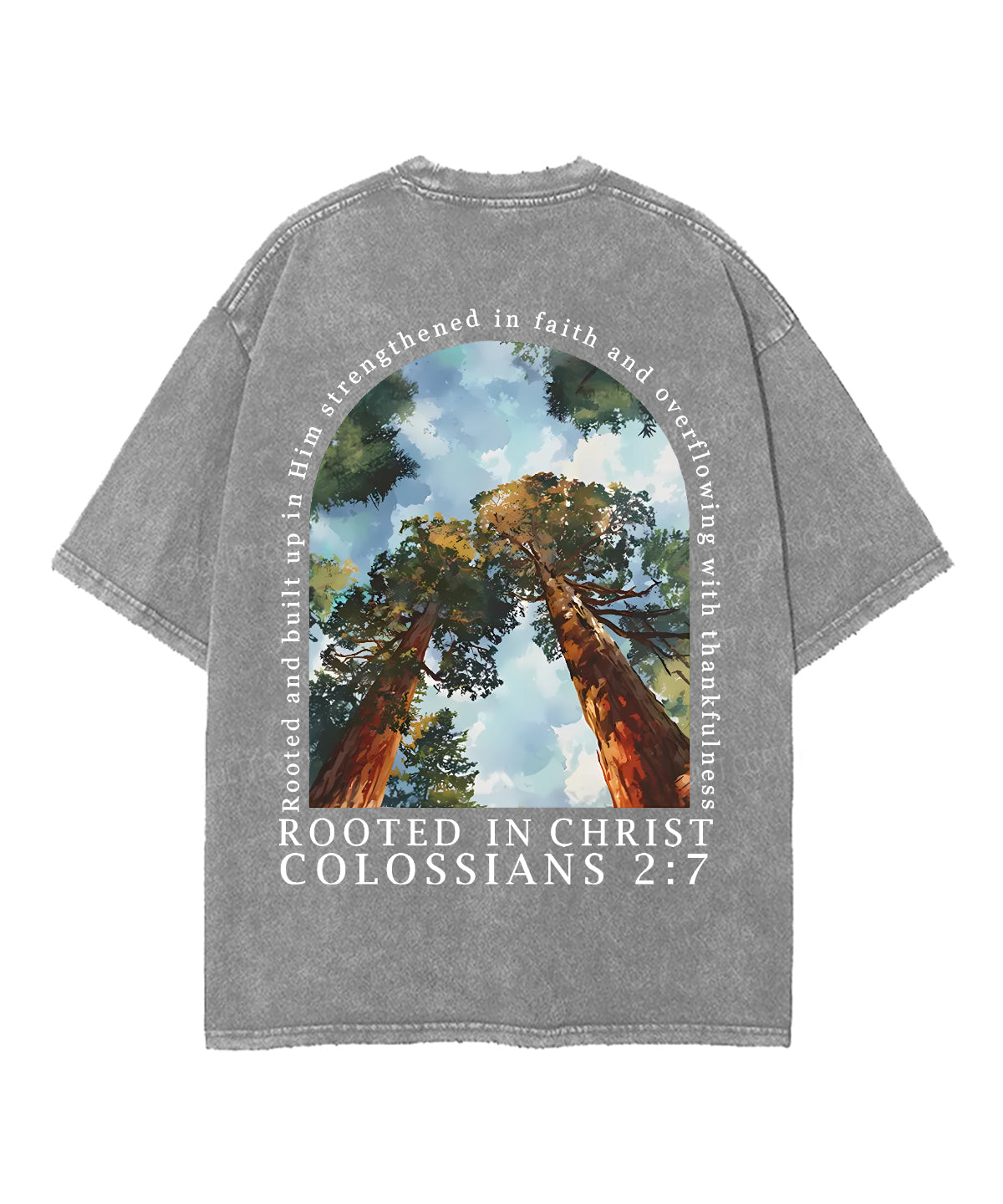 Rooted In Christ Double Sided Unisex Washed Christian T-shirt