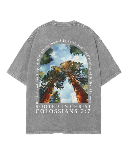 Rooted In Christ Double Sided Unisex Washed Christian T-shirt