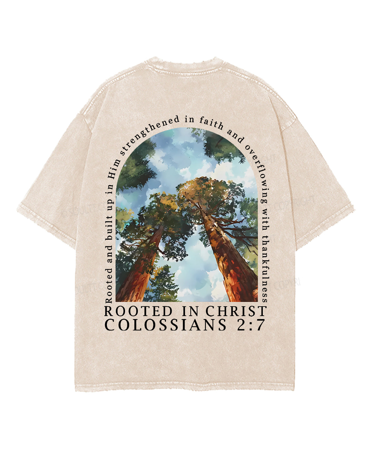 Rooted In Christ Double Sided Unisex Washed Christian T-shirt