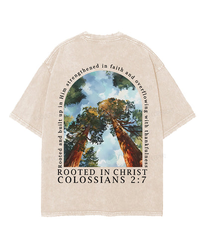 Rooted In Christ Double Sided Unisex Washed Christian T-shirt