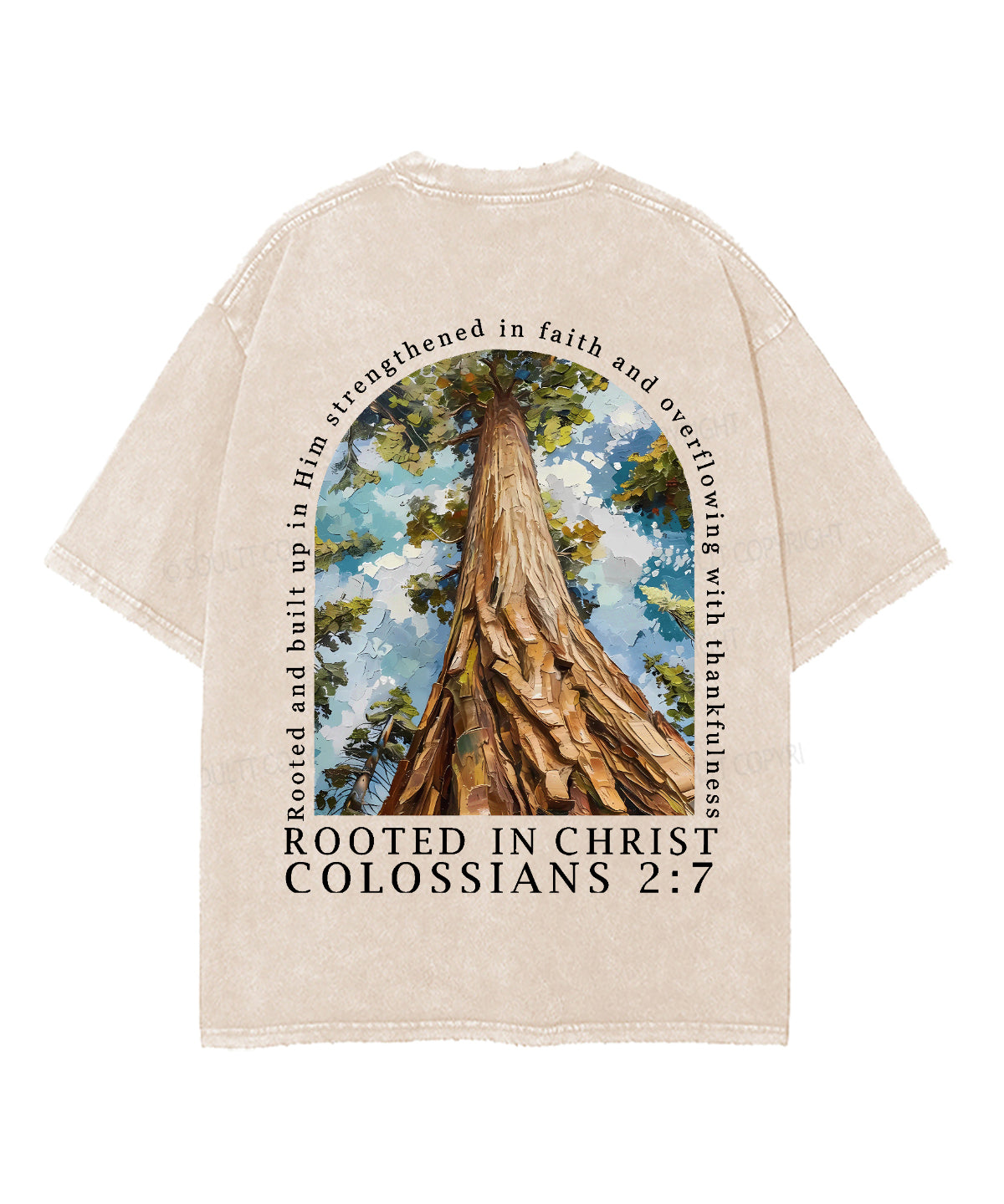 Rooted In Christ Double Sided Unisex Washed Christian T-shirt