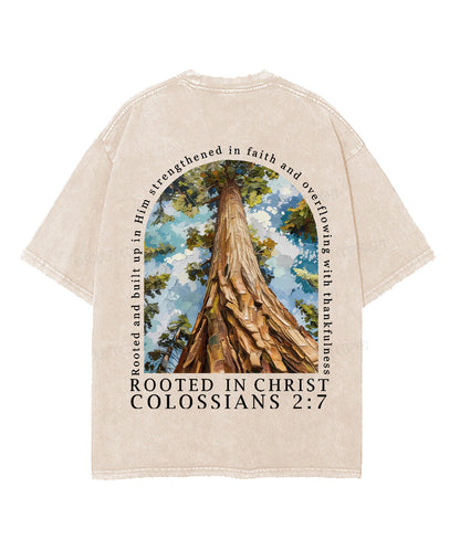 Rooted In Christ Double Sided Unisex Washed Christian T-shirt