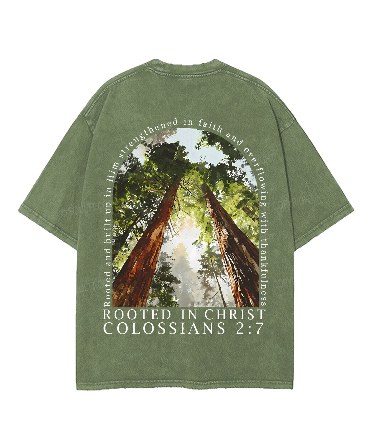 Rooted In Christ Double Sided Unisex Washed Christian T-shirt