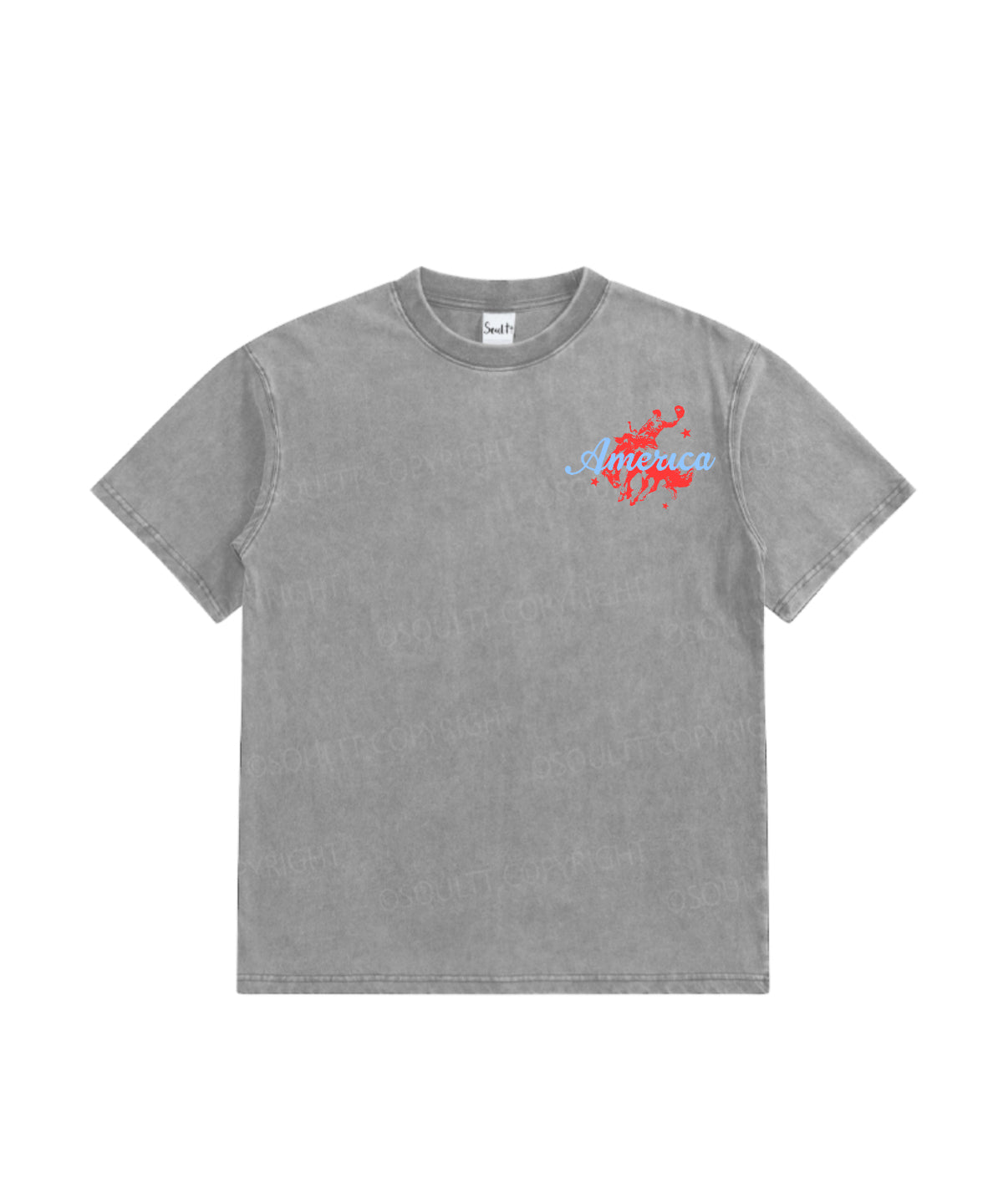 Kids 250 Years America Anniversary Double Sided Washed Christian T-shirt