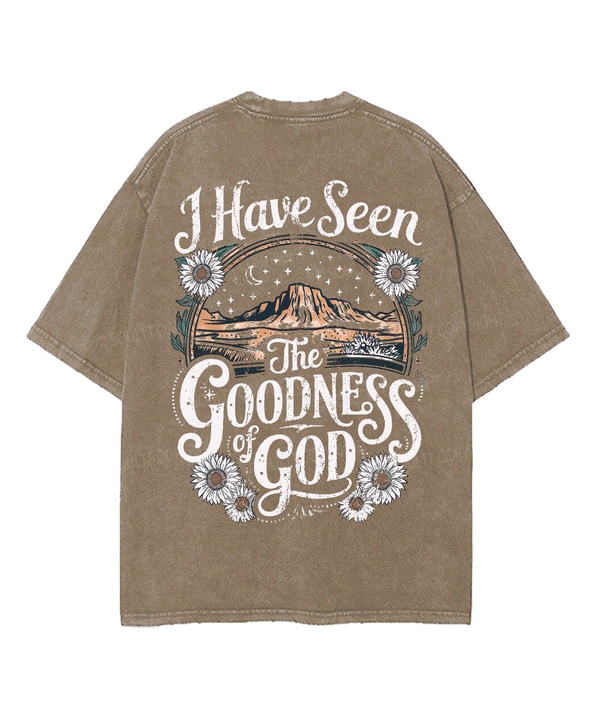 I Have Seen The Goodness Of God Double Sided Unisex Washed Christian T-shirt