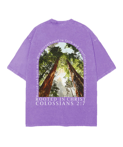 Rooted In Christ Double Sided Unisex Christian Washed T-Shirt & Shorts