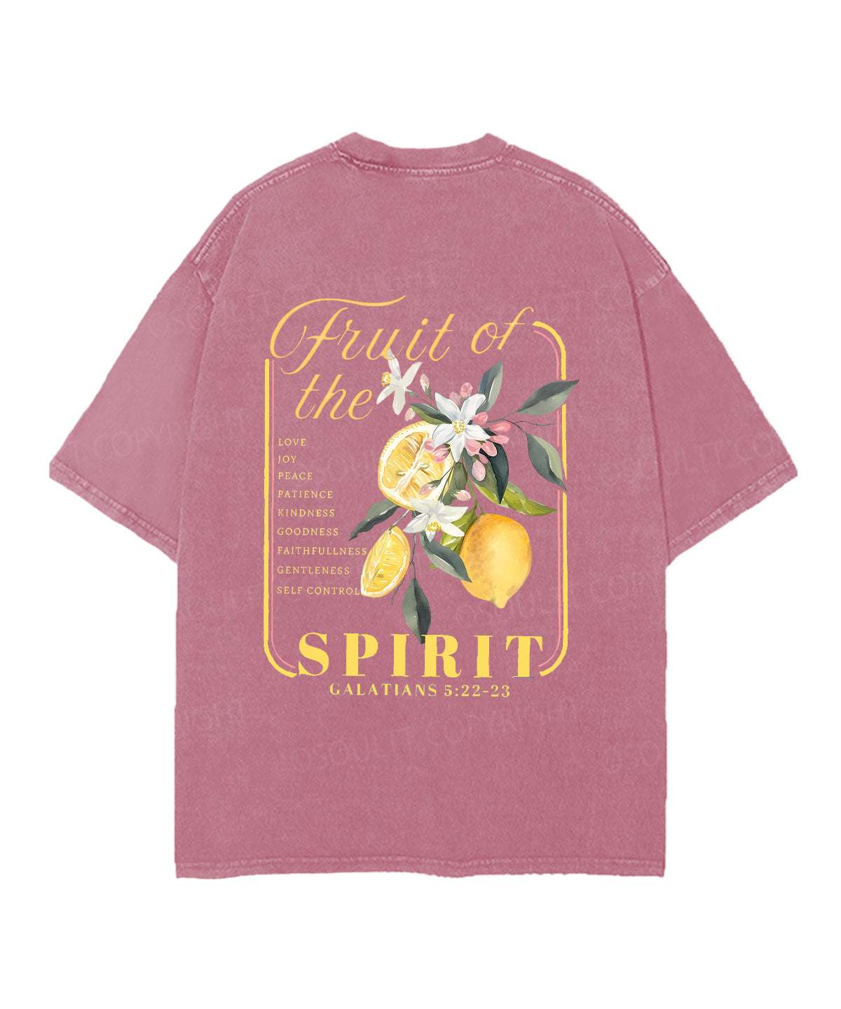 Fruit Of The Spirit Double Sided Unisex Christian Washed T-Shirt & Shorts