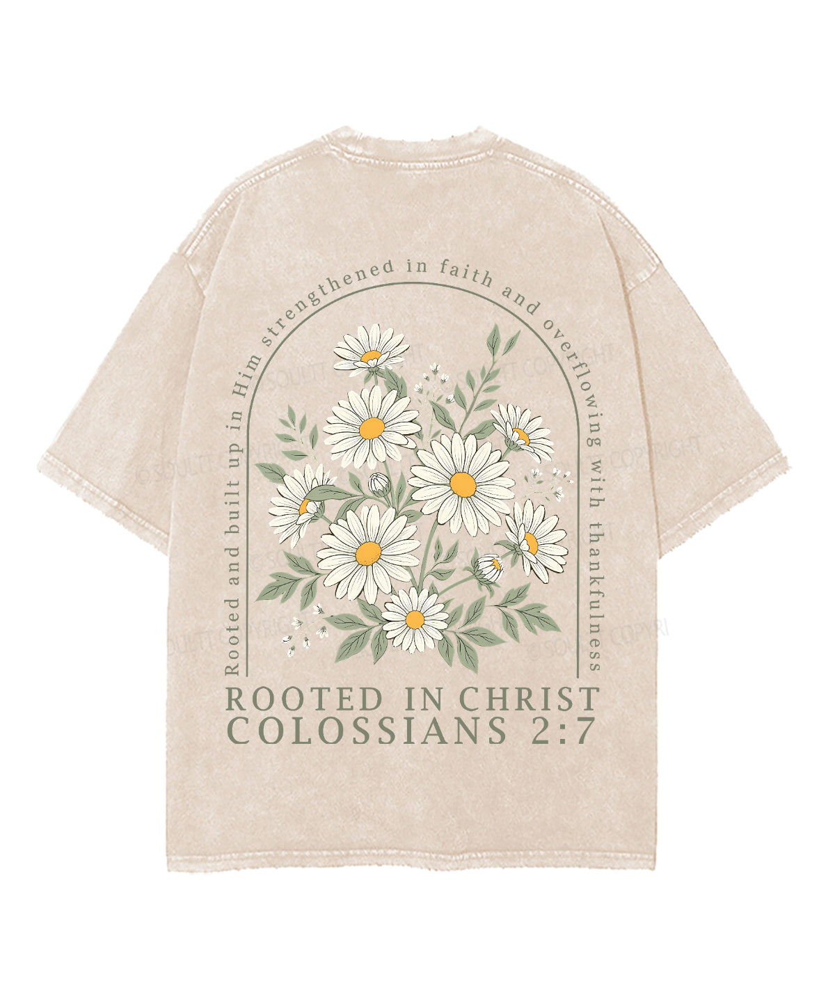 Rooted In Christ Double Sided Unisex Washed Christian T-shirt