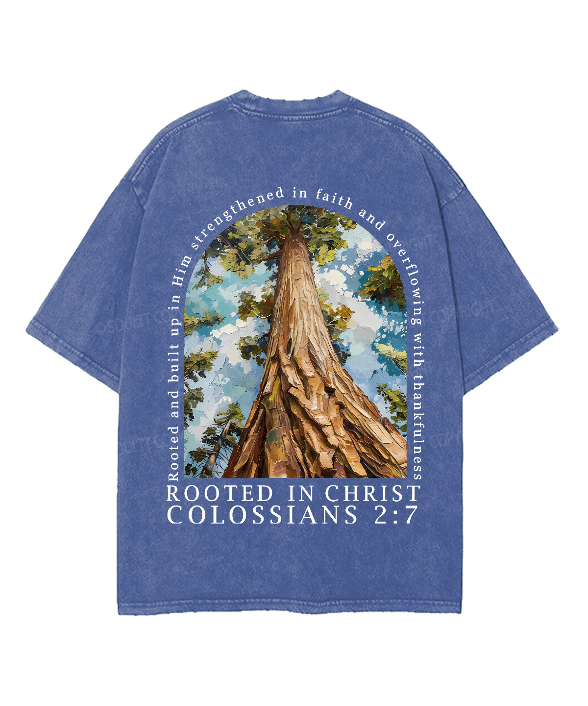 Rooted In Christ Double Sided Unisex Washed Christian T-shirt