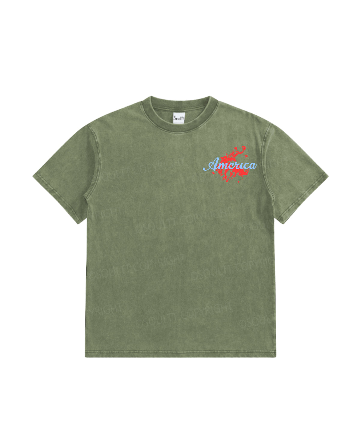 Kids 250 Years America Anniversary Double Sided Washed Christian T-shirt