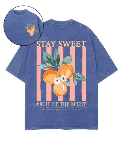 Fruit Of The Spirit Double Sided Unisex Washed Christian T-shirt