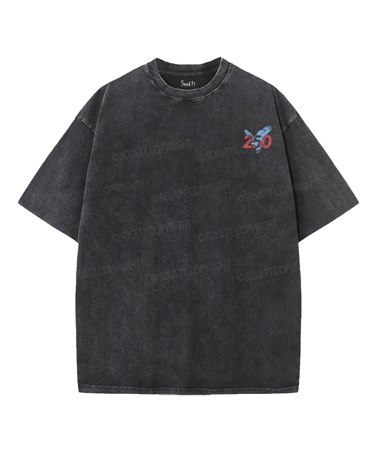 250 Years America Anniversary Double Sided Unisex Washed Christian T-shirt