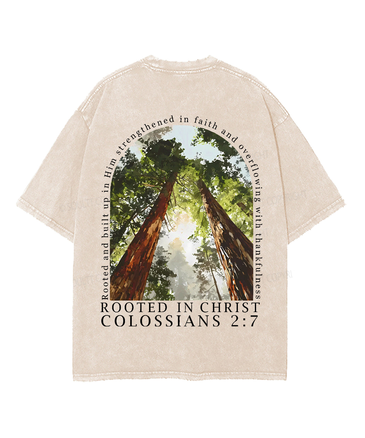 Rooted In Christ Double Sided Unisex Washed Christian T-shirt